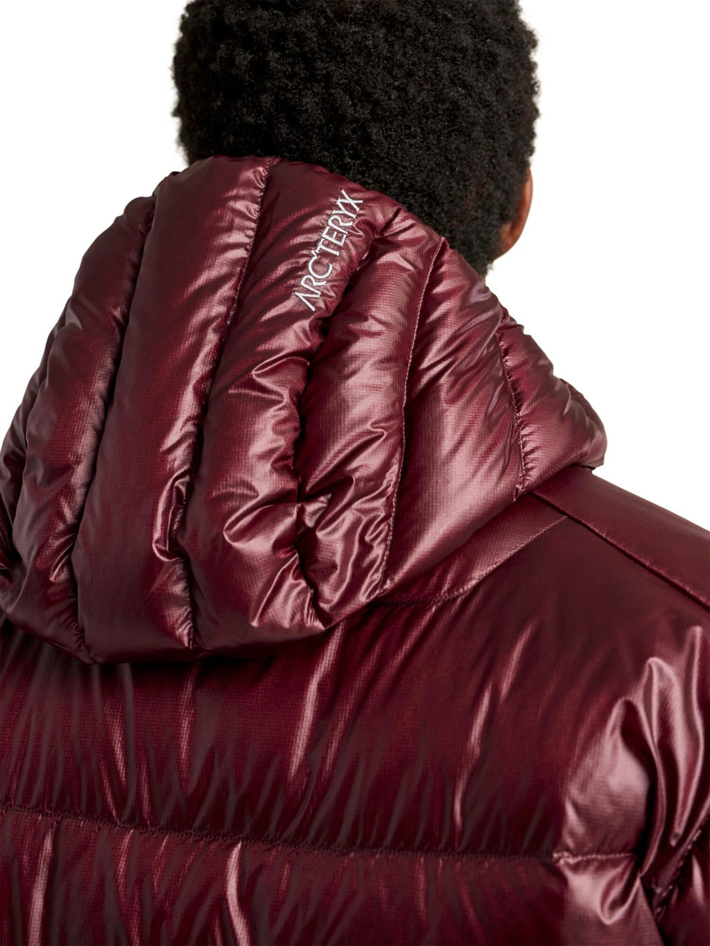 Arc'teryx Men's Cerium SV Hoody