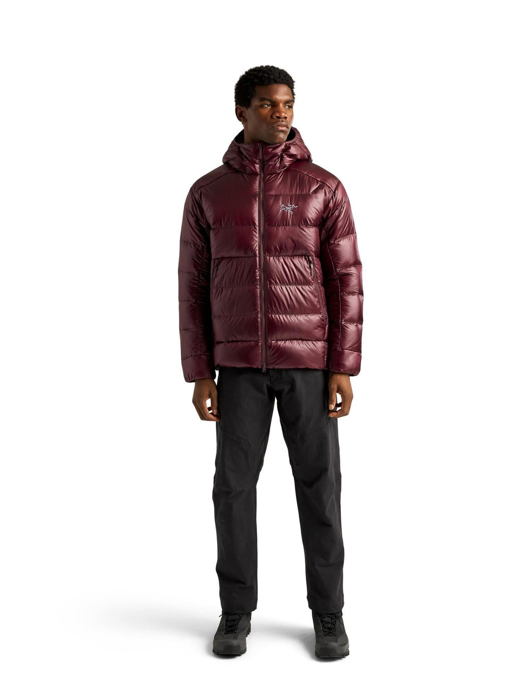 Arc'teryx Men's Cerium SV Hoody