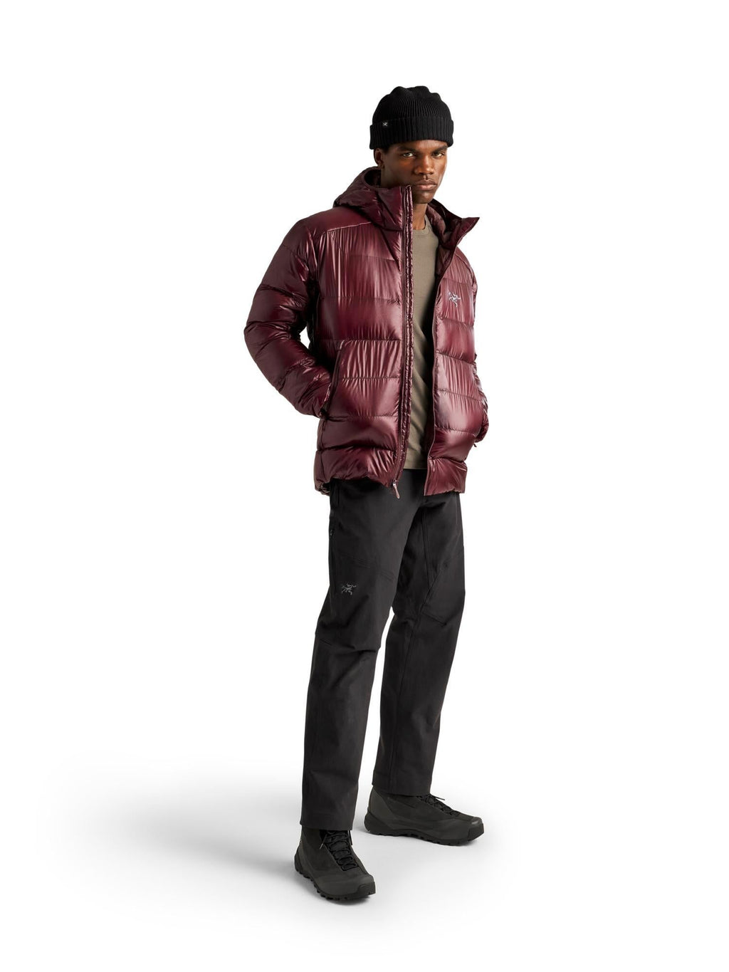 Arc'teryx Men's Cerium SV Hoody
