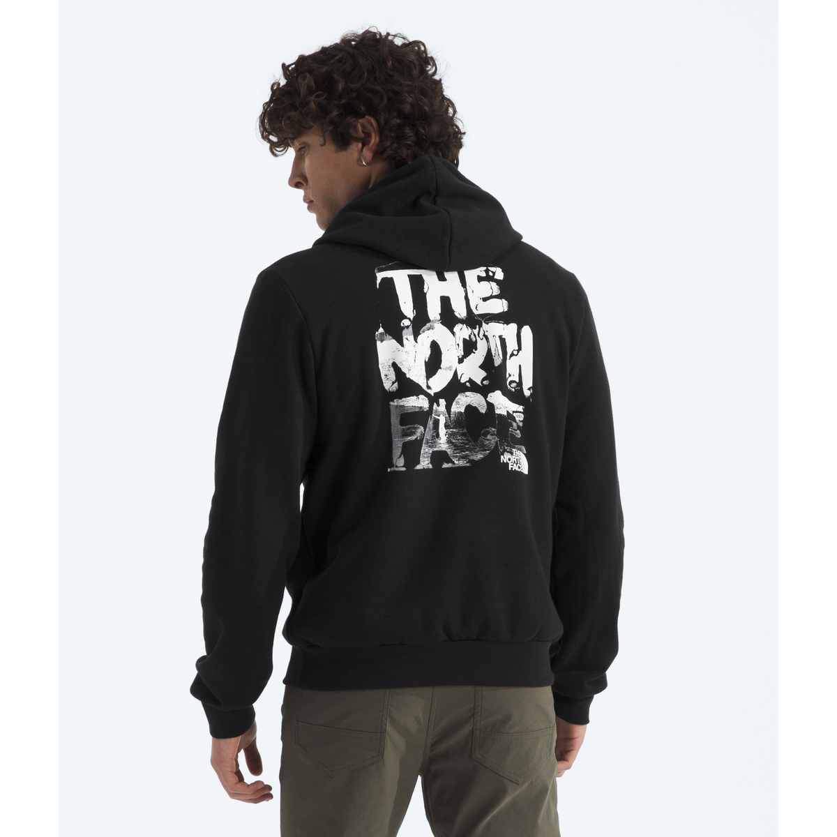 The North Face Men's Evolution Nature Exposure Hoodie - Graphic